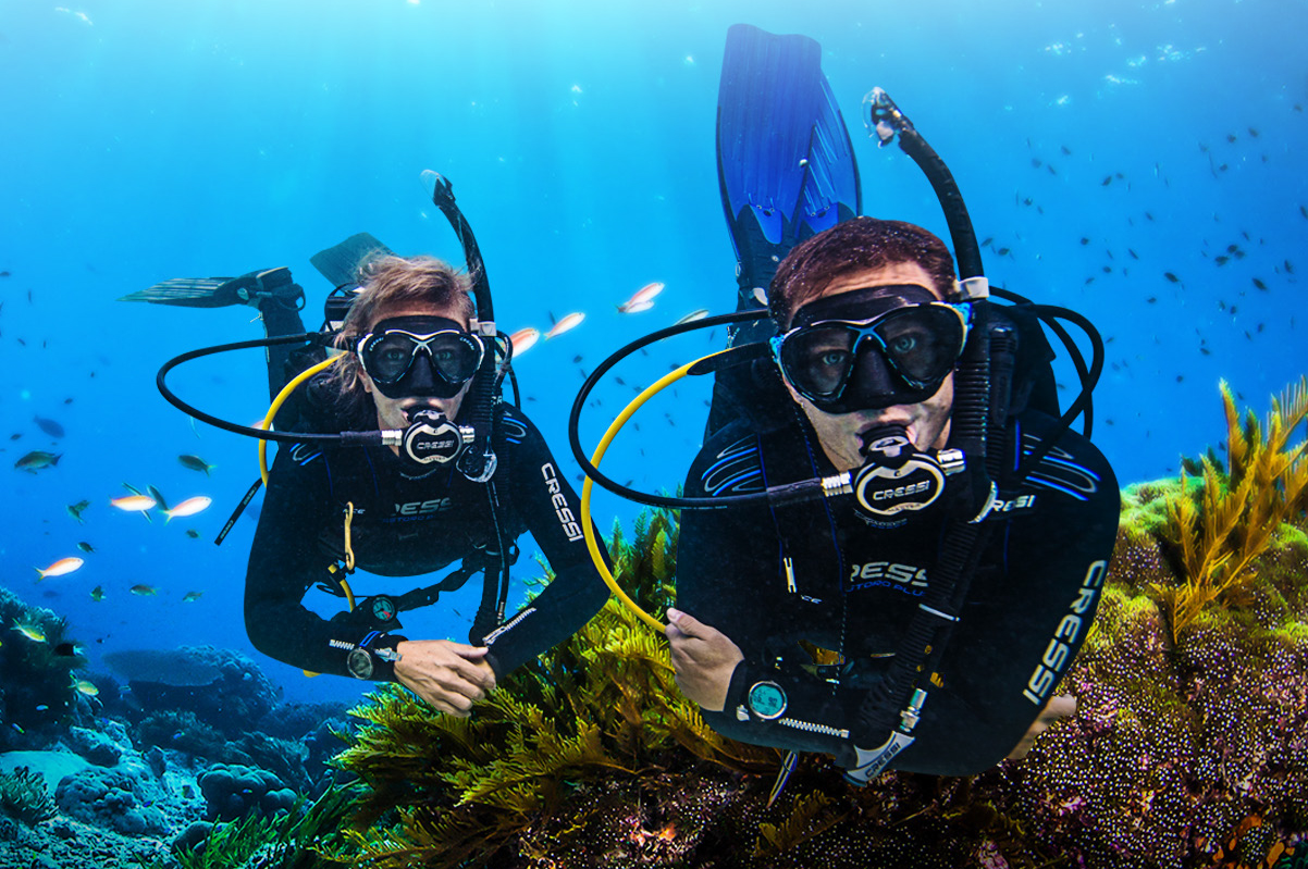 2 divers hovering